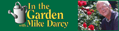 In the Garden with Mike Darcy debuts on KATU on Sunday morning, September 8th at 9am.