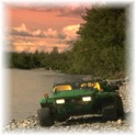 Picture of Gator
